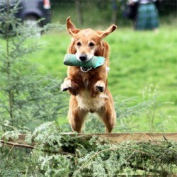 Keep Those Paws Soft And Healthy With Our Simple Paw Care Tips!